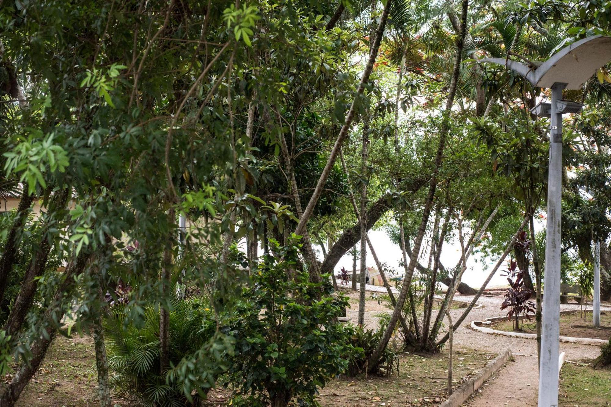 Apartamento Vista Mar Na Via Gastronomica Coqueiros Coq2 Florianópolis Exterior foto